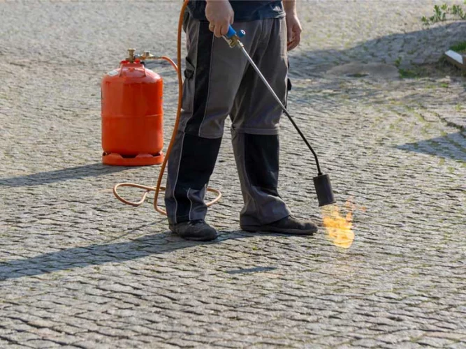 Quelle est la meilleure période pour désherber avec les outils flamme Express Farming